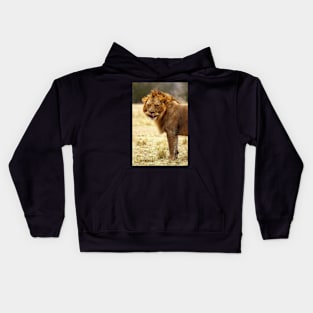 Mmmmm...Nice ! The Male Lion After Copulation, Maasai Mara, Kenya Kids Hoodie